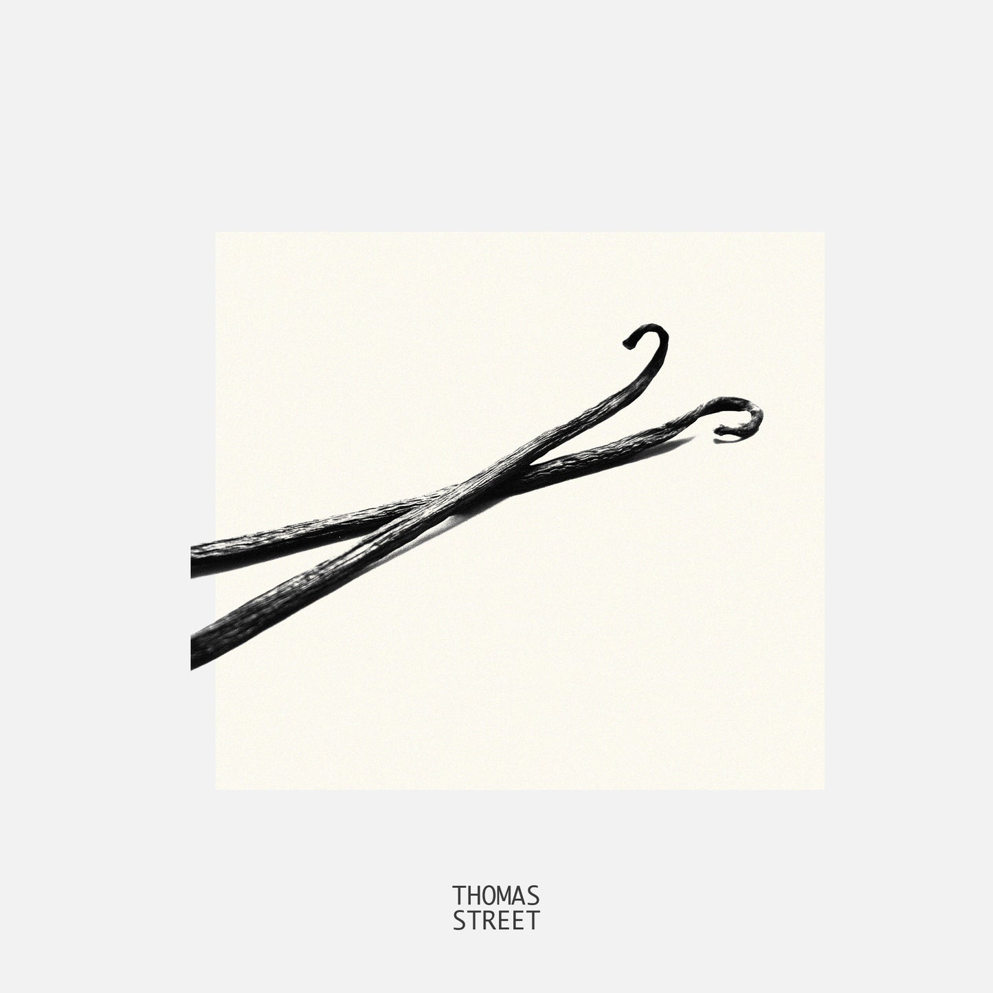 Vanilla & Tonka Bean Candle (No.01)
