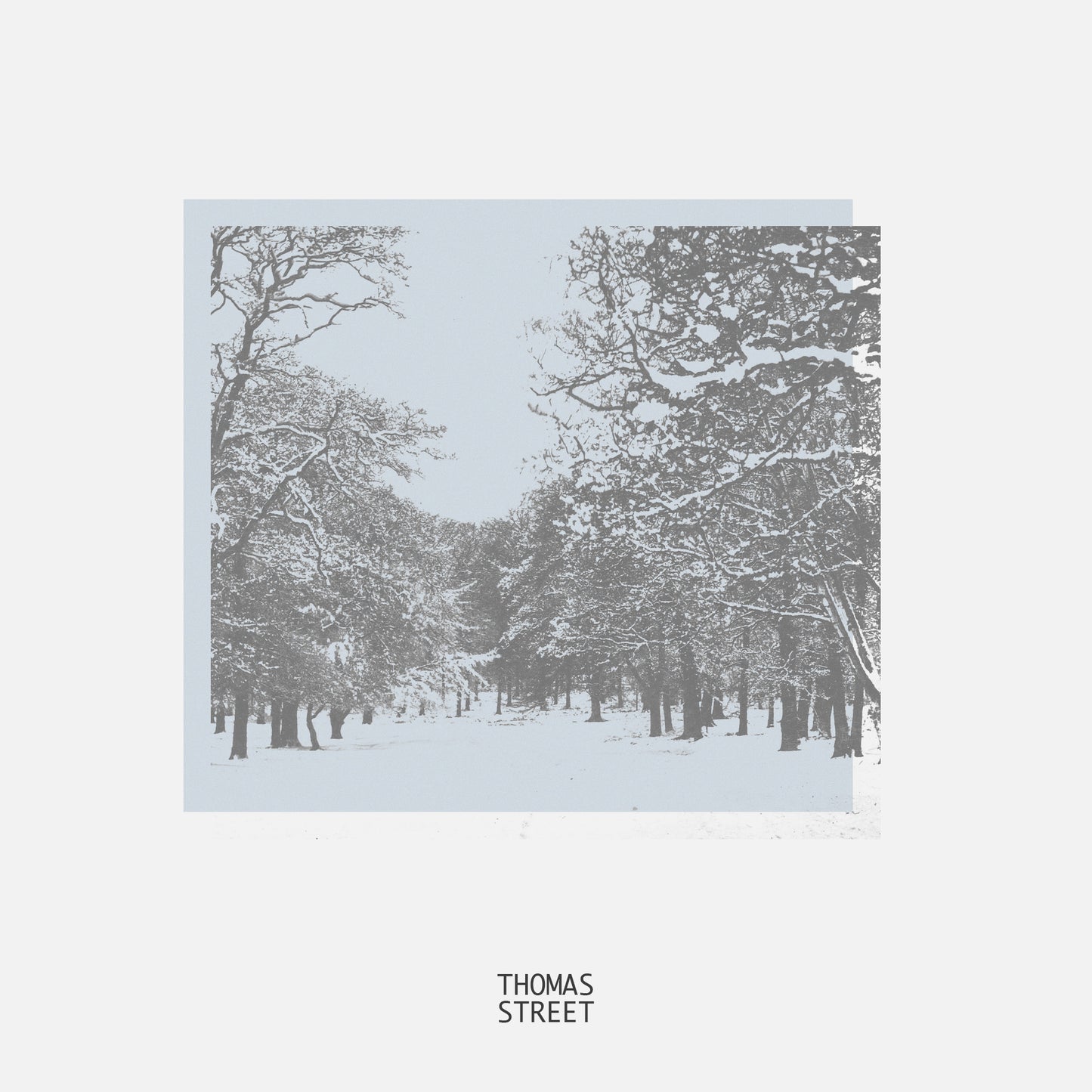 Fresh Fallen Snow Diffuser (No.15)