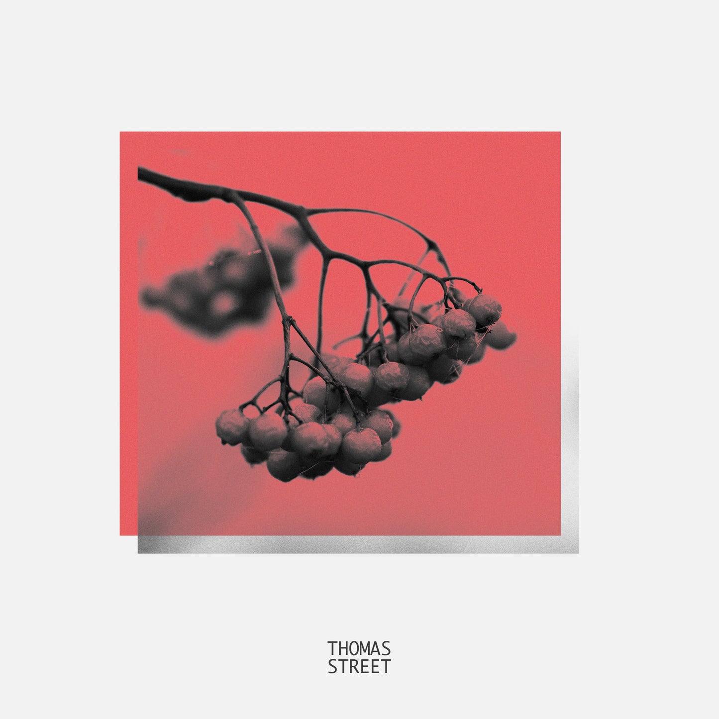 Berries Candle (No.32)