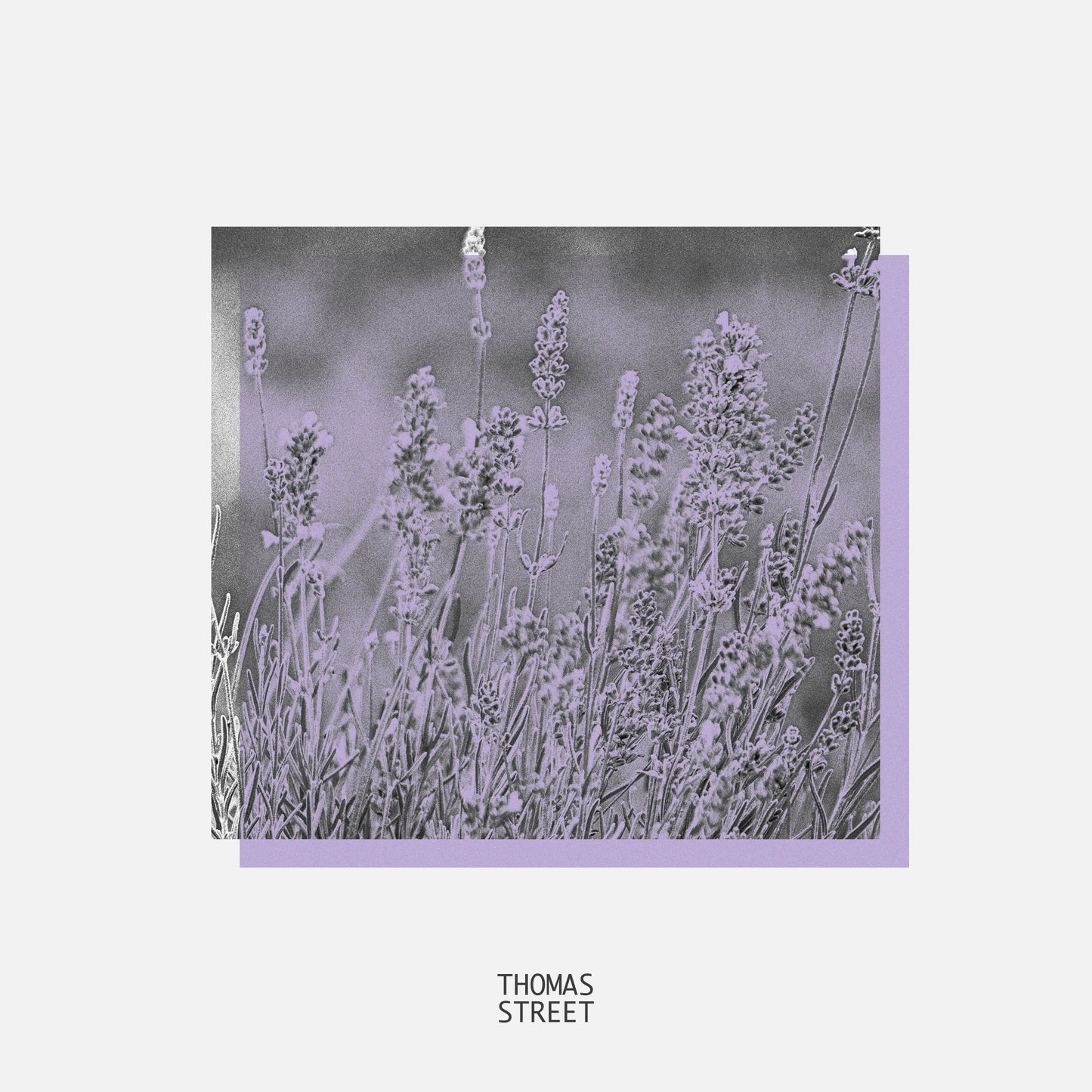 Relaxing Lavender Diffuser (No.43)