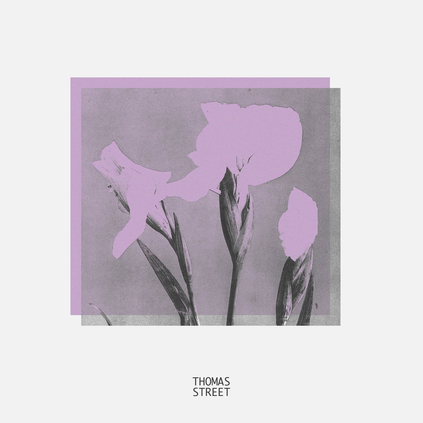 Patchouli & Orris Candle (No.57)