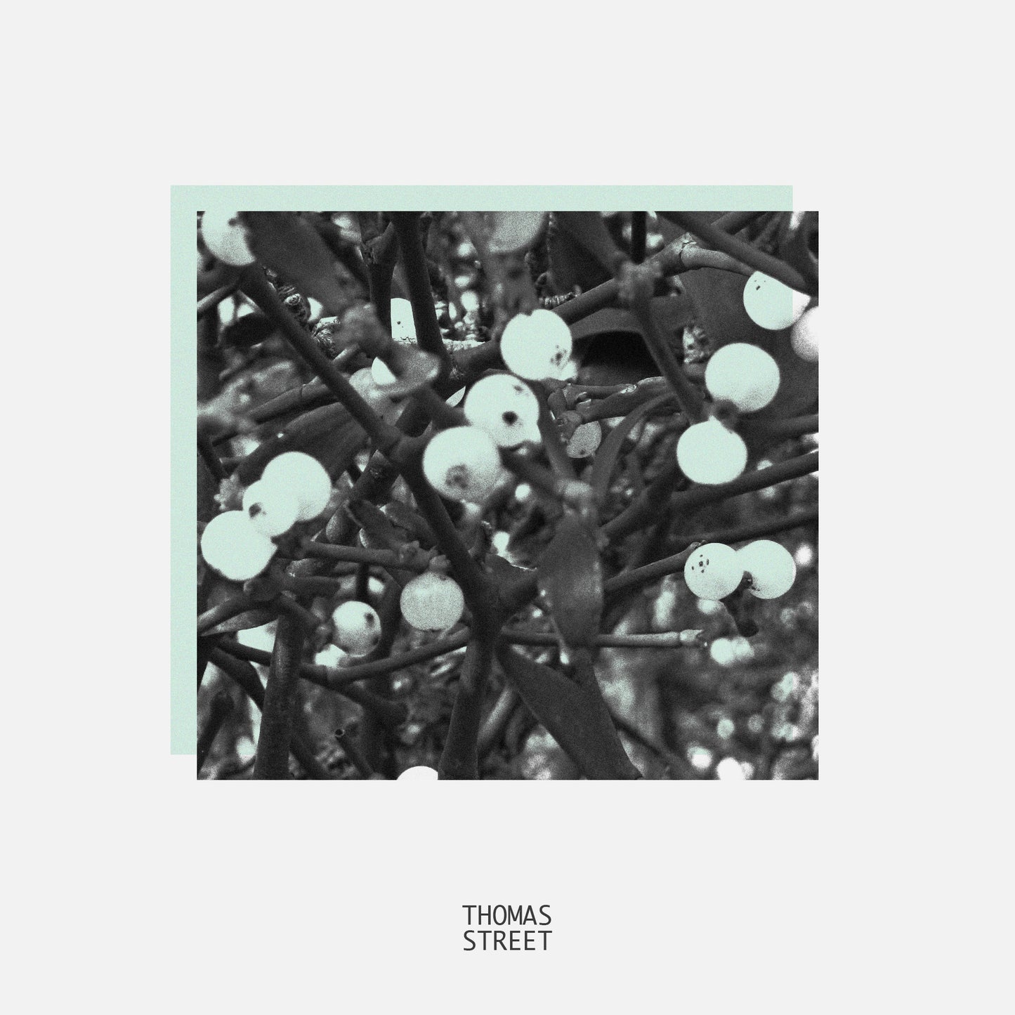 Under The Mistletoe Diffuser (No.58)