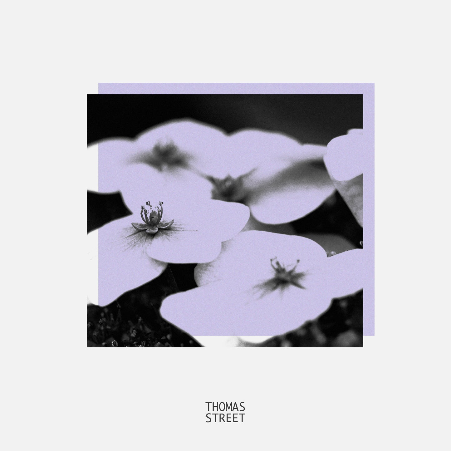 Parma Violet Diffuser (No.06)
