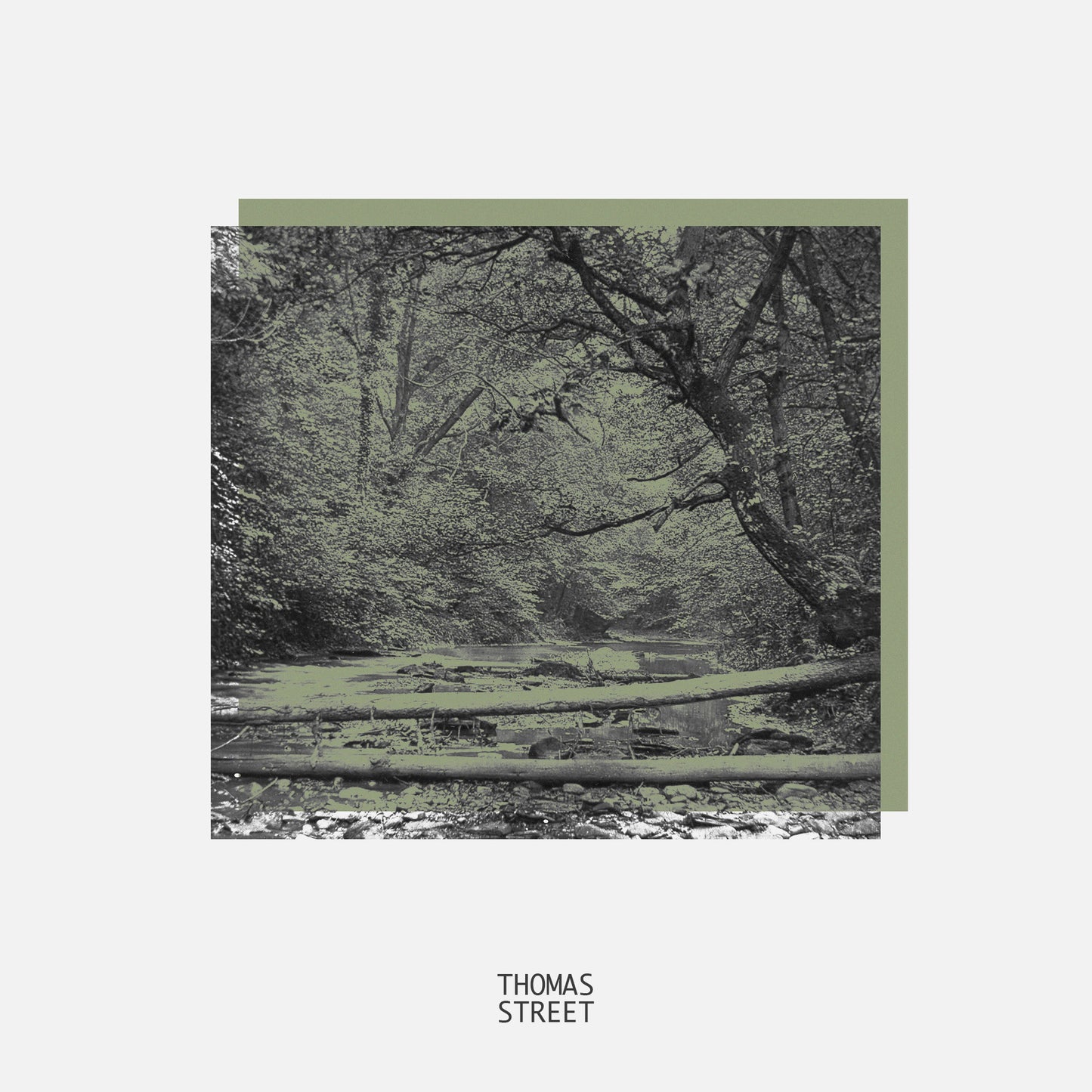 Forest Walk Candle (No.64)