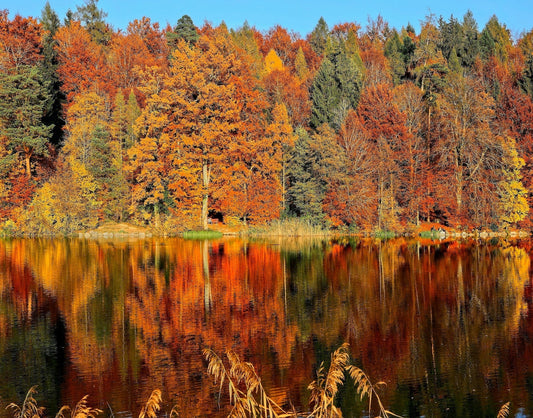 Cosy Fragrance for the Perfect Autumn Atmosphere
