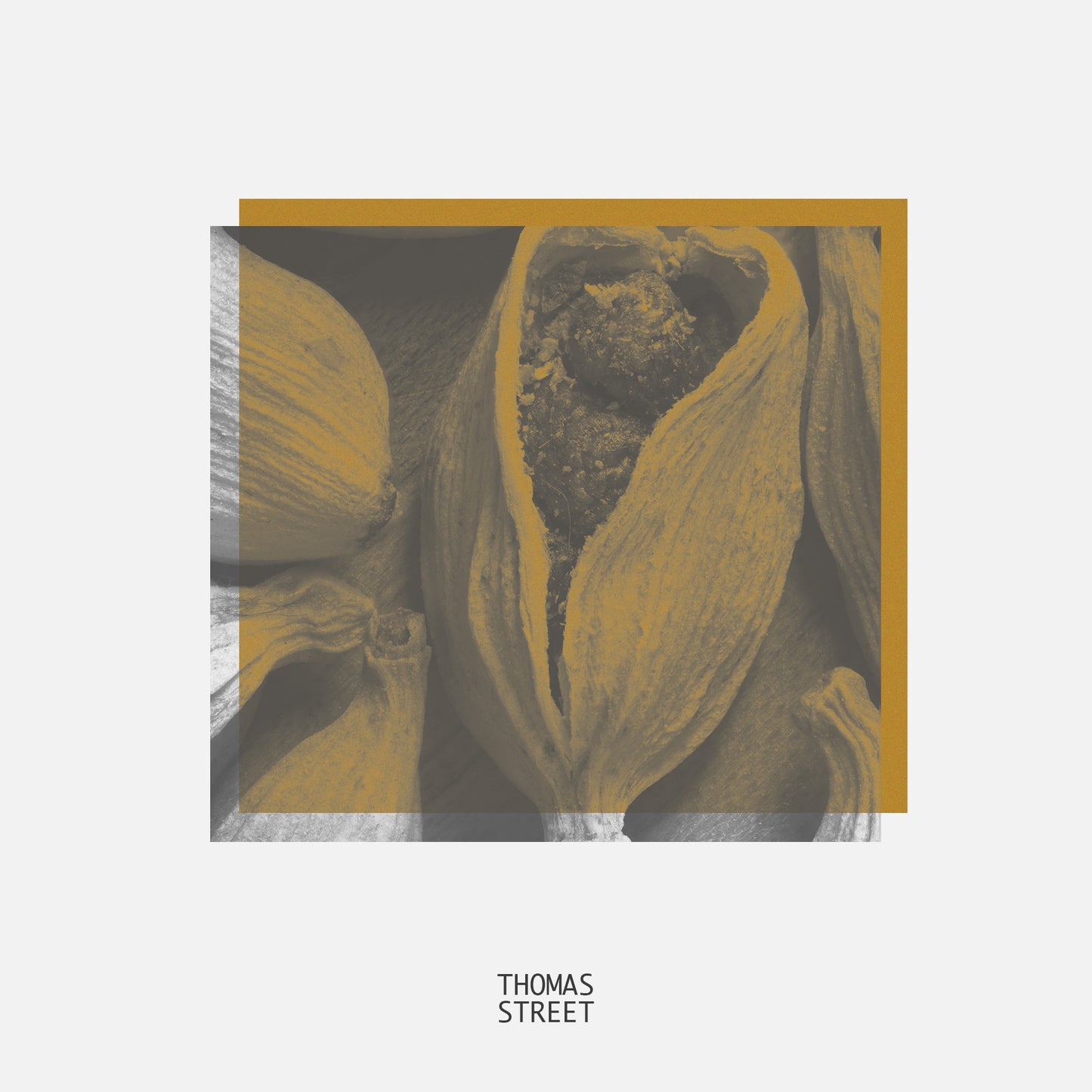 Black Cardamom Diffuser (No.31)